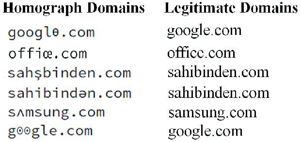 Examples of homograph domains